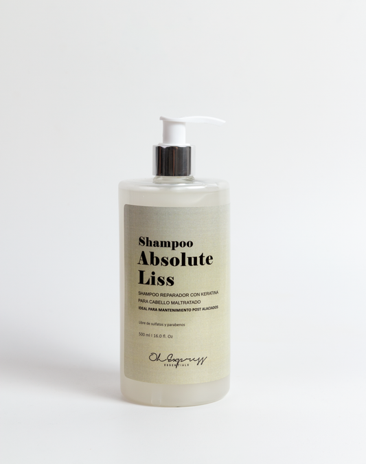 Shampoo Absolute Liss